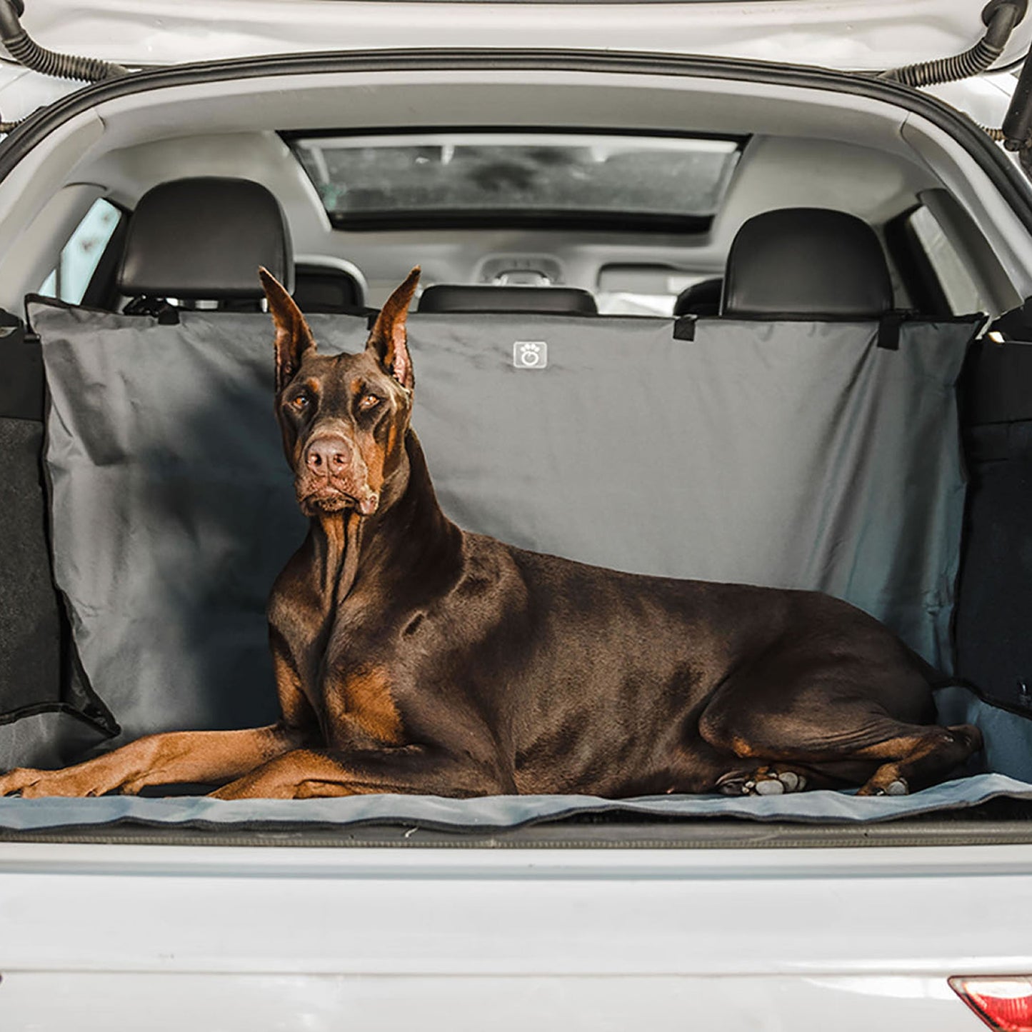 Funda de carga impermeable premium para mascotas